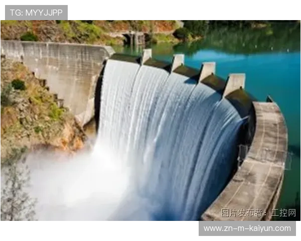 智能纠错机制动态介入 修复传输数据包丢失 智能纠错机制动态介入 修复传输数据包丢失