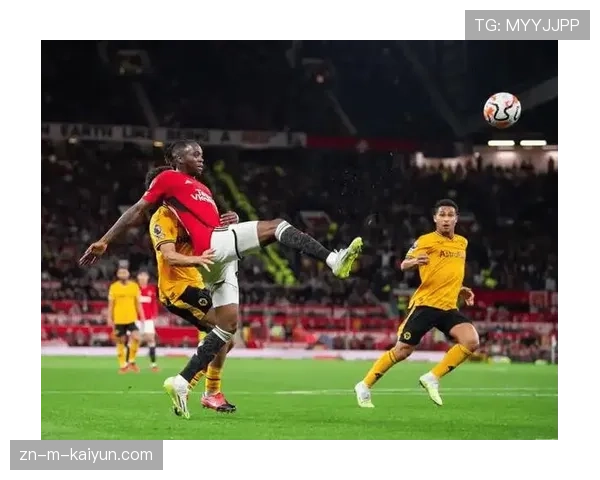 伤病潮侵袭布莱顿，三员大将确定无缘对阵狼队